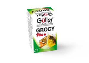 GROCY+ (GELULES)